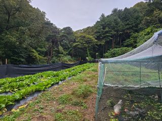 대파14665님의 자유주제 · 자유게시판 작성글 사진