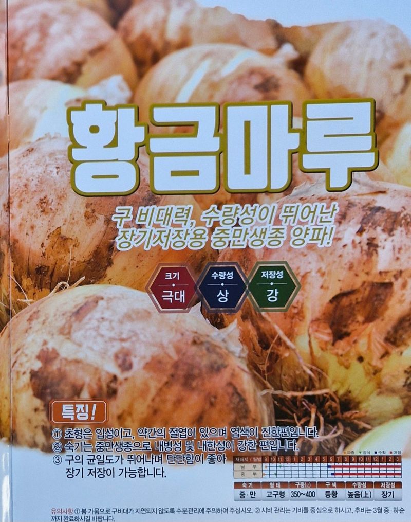 조영자님의 장터 판매 상품 [양파모종 300주/비닐포장] 첨부 사진