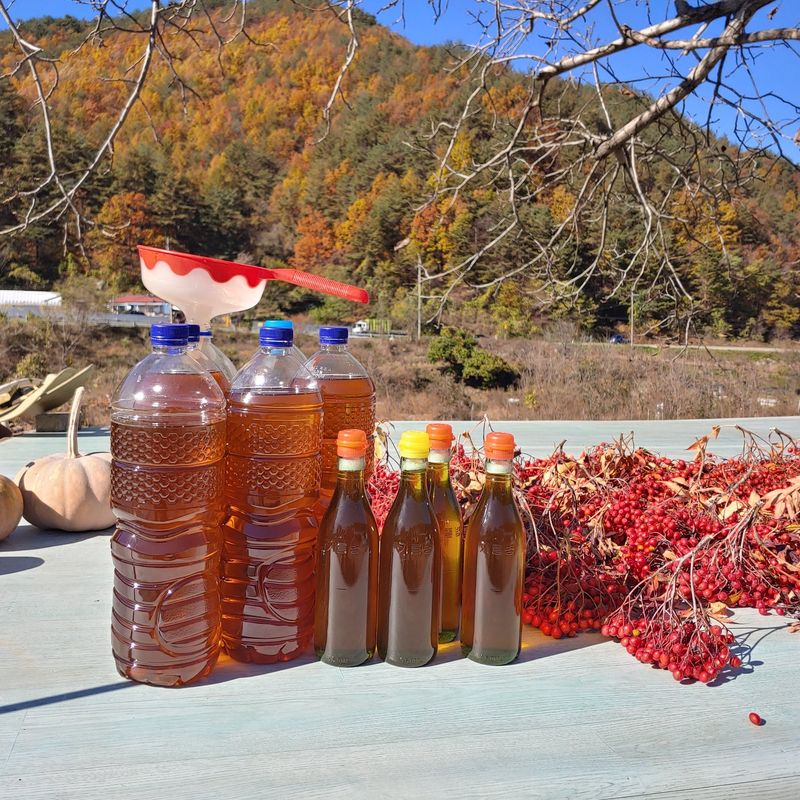 꽂다지님의 장터 판매 상품 [2025년 호두기름 350ml ] 첨부 사진