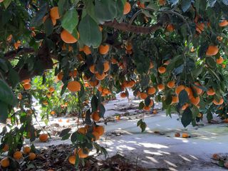 양애숙님의 작성글 사진