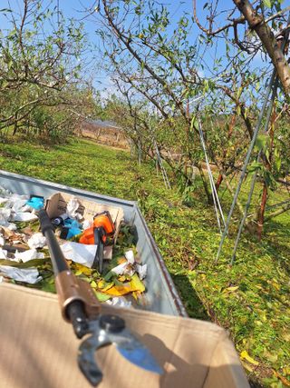 욕심내지말자님의 복숭아 · 자유게시판 작성글 사진