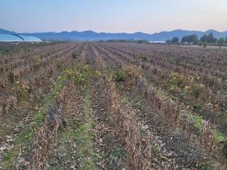 서명석님의 자유주제 · 자유게시판 작성글 사진