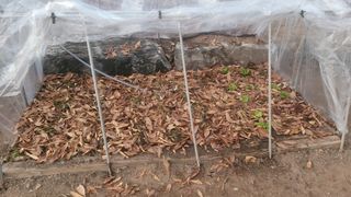 장석오님의 자유주제 · 자유게시판 작성글 사진