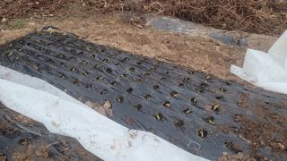 장석오님의 자유주제 · 자유게시판 작성글 사진