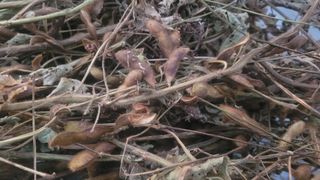 장석오님의 자유주제 · 자유게시판 작성글 사진