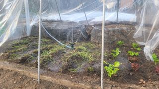 장석오님의 자유주제 · 자유게시판 작성글 사진