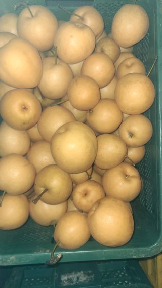 윤성한님의 작성글 사진