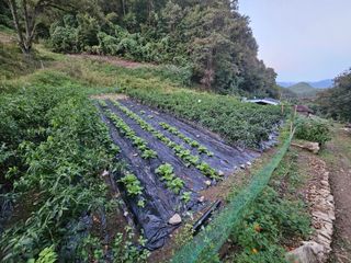 대파14665님의 자유주제 · 자유게시판 작성글 사진