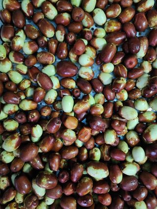 박동현님의 작성글 사진