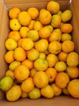 팜모닝 · 게시글 이미지