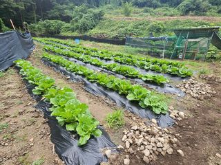대파14665님의 자유주제 · 자유게시판 작성글 사진