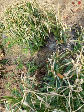 이영자 님의 자유주제 · 자유게시판 작성글 사진