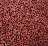 팜모닝 · 게시글 이미지