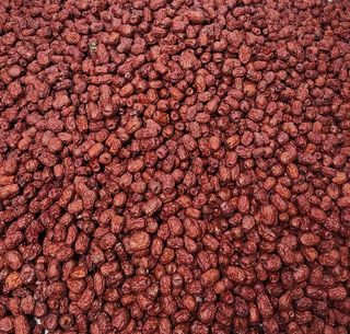 박동현님의 작성글 사진