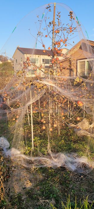 땅땅님의 자유주제 · 자유게시판 작성글 사진