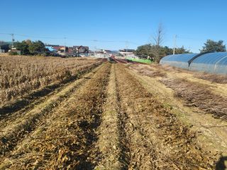 서명석님의 자유주제 · 자유게시판 작성글 사진