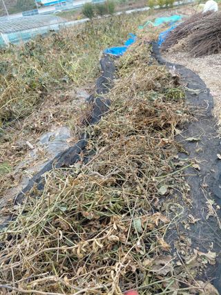 오화순님의 자유주제 · 자유게시판 작성글 사진