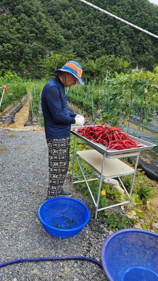 홍&이님의 작성글 사진