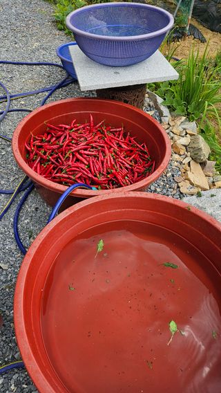 홍&이님의 작성글 사진