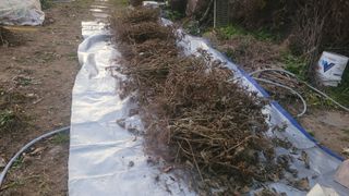 장석오님의 자유주제 · 자유게시판 작성글 사진