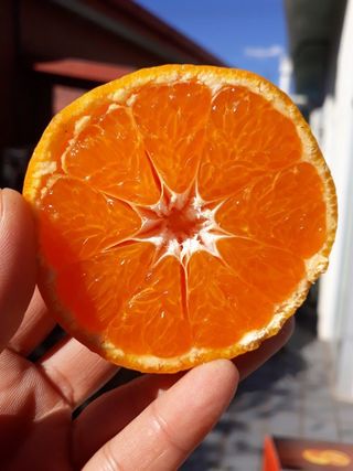 양애숙님의 작성글 사진