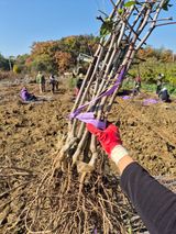 우리농원님의 자유주제·자유게시판 작성글 사진