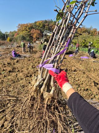 우리농원님의 자유주제 · 자유게시판 작성글 사진