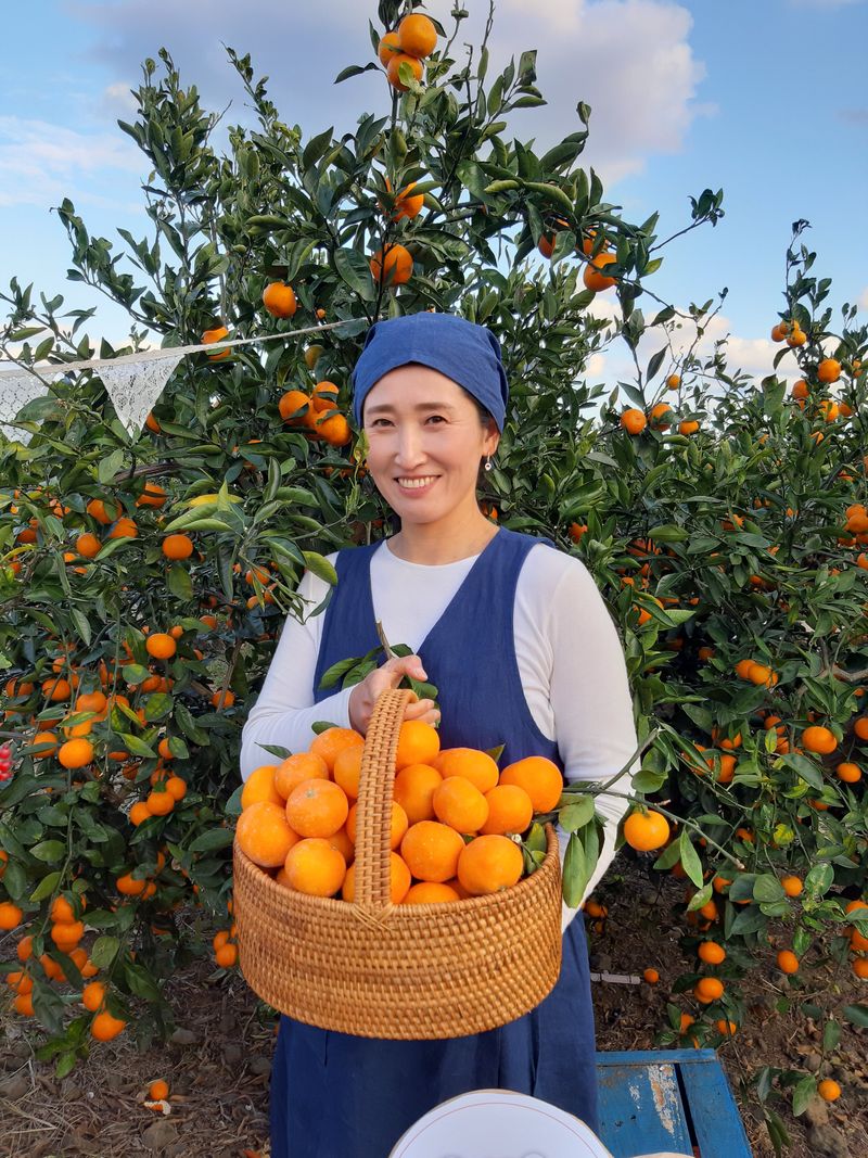 장터 상품 [유라조생타이벡3kg] 썸네일