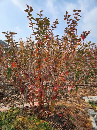 임용관님의 자유주제 · 자유게시판 작성글 사진