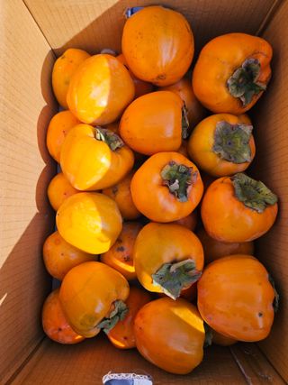 이영민님의 작성글 사진