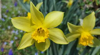 이정운님의 자유주제 · 자유게시판 작성글 사진