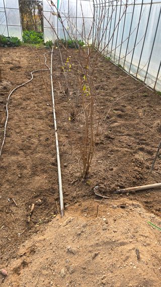 박정희 님의 자유주제 · 자유게시판 작성글 사진