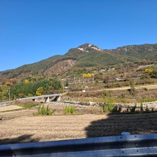 오영도님의 자유주제 · 자유게시판 작성글 사진