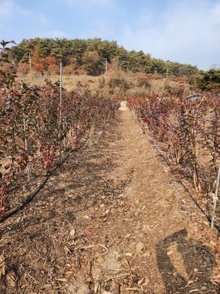 임용관님의 자유주제 · 자유게시판 작성글 사진