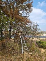 팜모닝 · 게시글 이미지