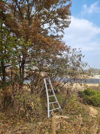 정석범님의 작성글 사진