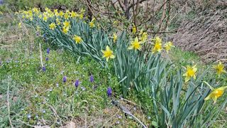 이정운님의 자유주제 · 자유게시판 작성글 사진