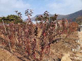임용관님의 자유주제 · 자유게시판 작성글 사진
