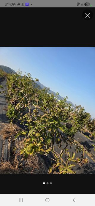 김재희님의 자유주제 · 자유게시판 작성글 사진