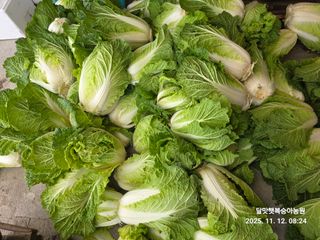 달맛햇복숭아농원님의 자유주제 · 자유게시판 작성글 사진