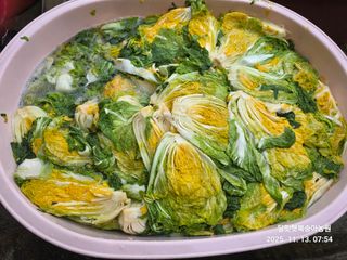 달맛햇복숭아농원님의 자유주제 · 자유게시판 작성글 사진