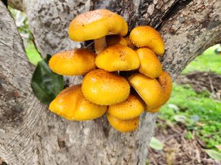 박사도사님의 자유주제 · 사진전 작성글 사진