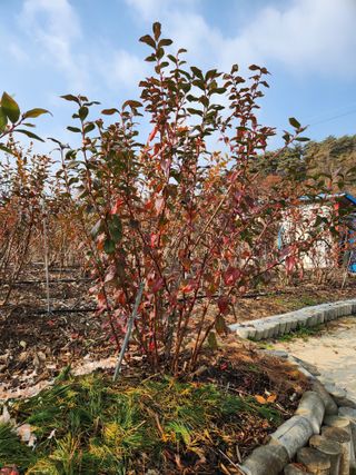 임용관님의 자유주제 · 자유게시판 작성글 사진