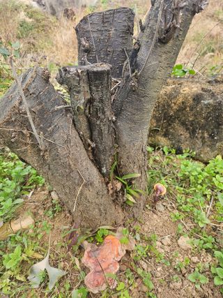 들깨3278님의 자유주제 · 자유게시판 작성글 사진