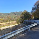 팜모닝 자유주제·자유게시판 게시글 이미지