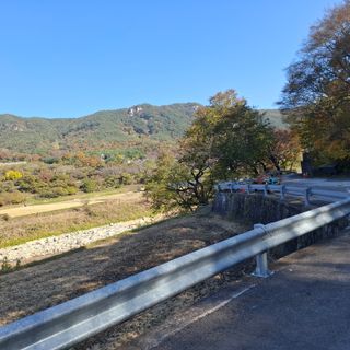 오영도님의 자유주제 · 자유게시판 작성글 사진