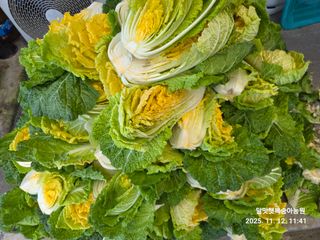 달맛햇복숭아농원님의 자유주제 · 자유게시판 작성글 사진