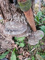 팜모닝 자유주제·자유게시판 게시글 이미지