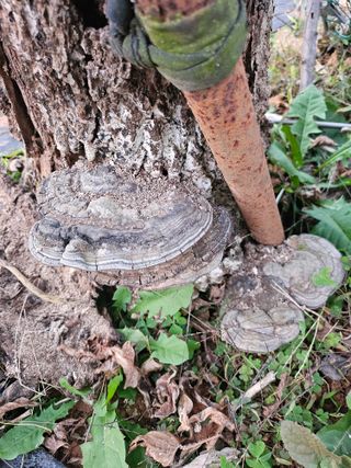 들깨3278님의 자유주제 · 자유게시판 작성글 사진
