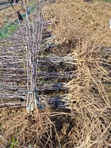 우리농원님의 자유주제·자유게시판 작성글 사진